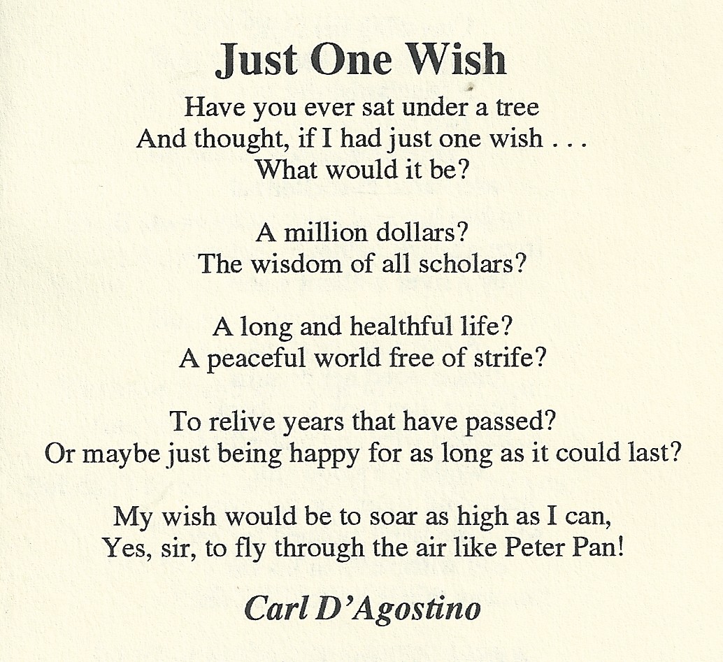 Just One Wish by Carl Dâ€™Agostino